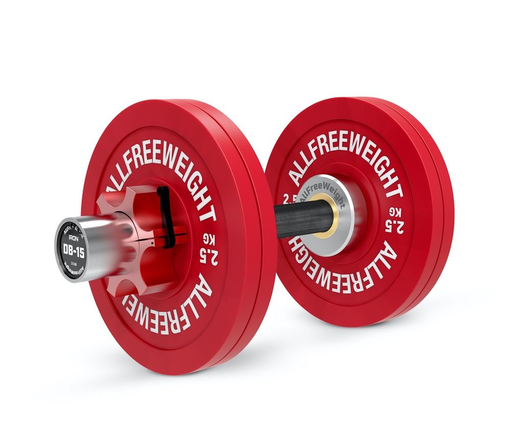 LIONSCOOL 16" Loadable Dumbbell Handles (Pair) - Compatible With 2" Olympic Plates For Home Gym Strength Training