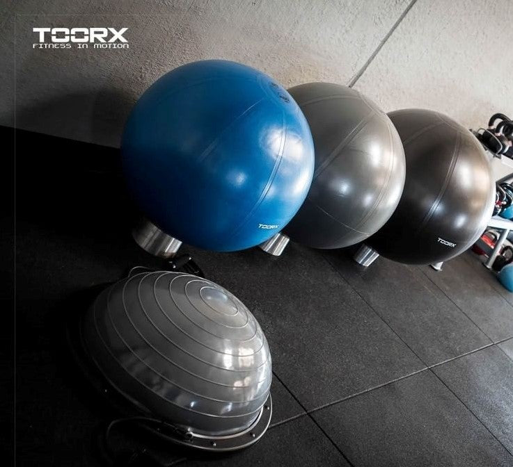 Toorx Gym Ball 55cm