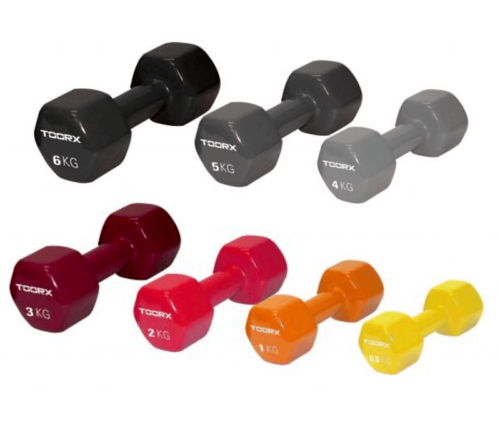 toorx vinyl dumbells